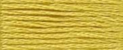 018 Yellow Plum
