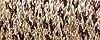 071 Misty Gold #4 Braid Kreinik