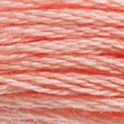 3824 Apricot