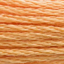 3854 Autumn Gold