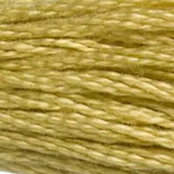 834 Golden Olive