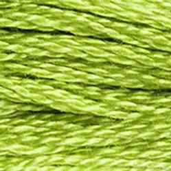 907 Parrot Green