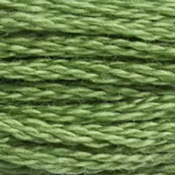 988 Forest Green